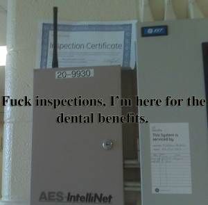 inspection-report