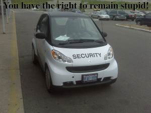 Security-stupidity
